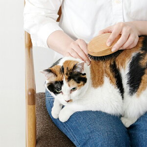 PET uV I[NEbh BOAR ybsOΉz ybZ[WJ[hΉz Lp uV o ubVO NV  тÂ낢