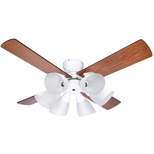 plus more vXA V[Ot@ Windouble 6 ybZ[WJ[hΉz V[Ot@Cg VƖ  d 󒲋@ ȒPt k @\