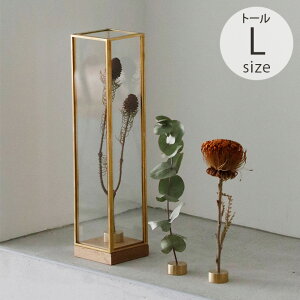 Horn Please z[ v[Y BRASSt[ fBXvC{bNX g[ L _PP02 ybsOΉz ybZ[WJ[hΉz fBXvC{bNX KX ^J  hCt[ AN