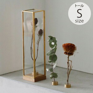 Horn Please z[ v[Y BRASSt[ fBXvC{bNX g[ S _PP02 ybsOΉz ybZ[WJ[hΉz fBXvC{bNX KX ^J  hCt[ AN