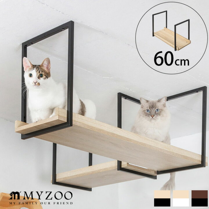 楽天市場】キャットステップ MYZOO マイズー AVENUE 60cm 【メッセージ 