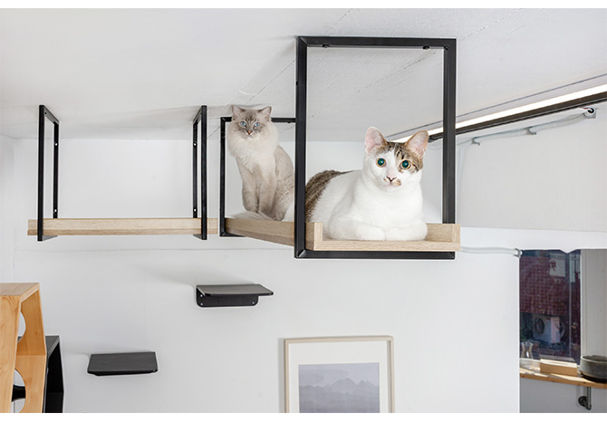 お手頃価格お手頃価格キャットステップ MYZOO マイズー AVENUE 100cm 猫用 猫 キャットステップ キャットウォーク 壁付け 天井付け  キャット ステップ ウォーク 北欧 猫用品