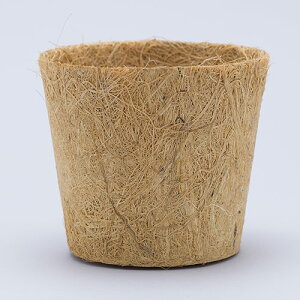 100percent 100p[Zg Earth Pot A[X|bg S ybZ[WJ[hΉz Jo[ |bgJo[ \[T[t  3 3.5 y GR Mtg v[g