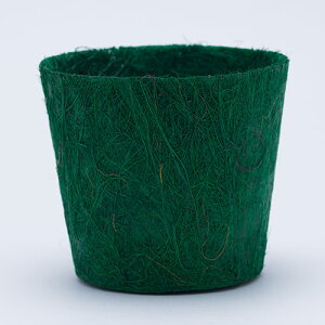 100percent 100�p�[�Z���g Earth Pot �A�[�X�|�b�g S �y���b�Z�[�W�J�[�h�Ή��z ���J�o�[ �|�b�g�J�o�[ �\�[�T�[�t�� ������� 3�� 3.5�� �y�� �G�R �M�t�g �v���[���g