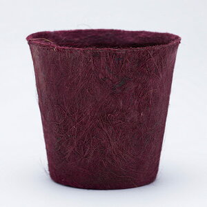 yX[p[Z[zyzz100percent 100p[Zg Earth Pot A[X|bg M ybZ[WJ[hΉz Jo[ |bgJo[ \[T[t  6 8 y GR Mtg v[g