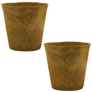 _ybgōőP5^ 100percent 100p[Zg Earth Pot A[X|bg M F2Zbg ybZ[WJ[hΉz Jo[ |bgJo[ \[T[t  6 8 y GR Mtg v[