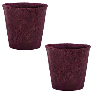 _ybgōőP5^ 100percent 100p[Zg Earth Pot A[X|bg M F2Zbg ybZ[WJ[hΉz Jo[ |bgJo[ \[T[t  6 8 y GR Mtg v[