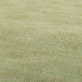 ペットにやさしい平織カーペット ラウム 江戸間6帖 ラグ 敷き詰めカーペット ペット ホットカーペット対応 床暖房対応 カット可能 無地 引っかからない おしゃれ日本製 インテリアカットパイル