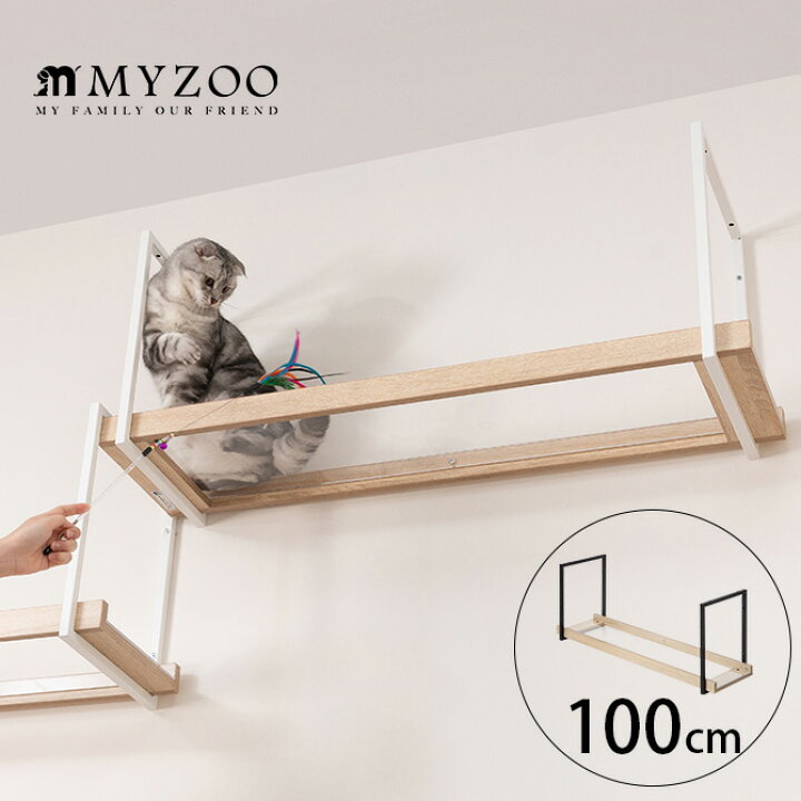 楽天市場】MYZOO マイズー AVENUE 100cm クリア 【メッセージカード  
