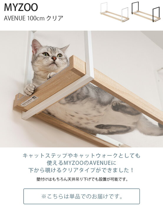 楽天市場】MYZOO マイズー AVENUE 100cm クリア 【メッセージカード 