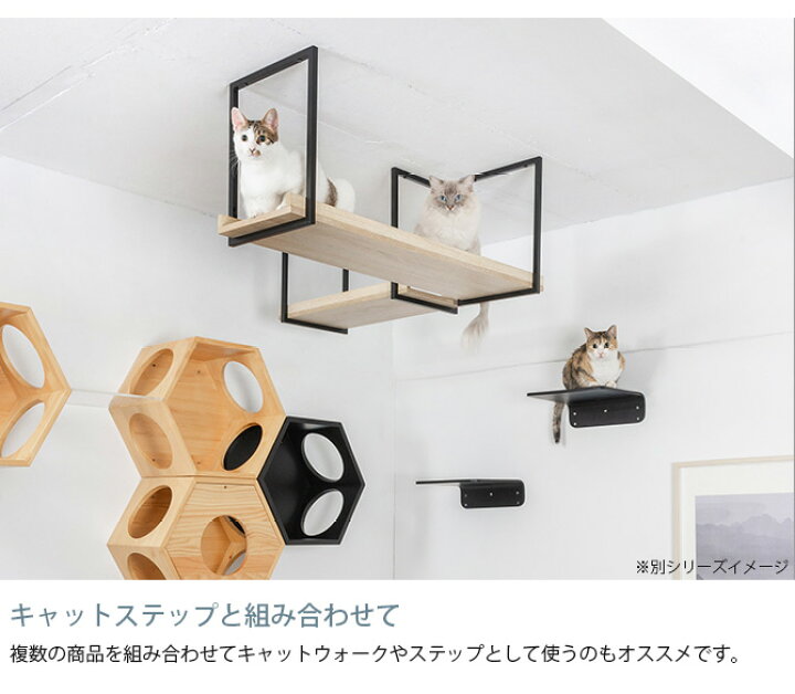 楽天市場】MYZOO マイズー AVENUE 100cm クリア 【メッセージカード  