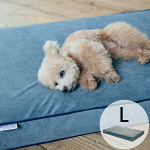 FrancePet tXybg PE11 ybg}bgR[W[C L ybZ[WJ[hΉz  L xbh }bg ybg}bg ᔽ  E^