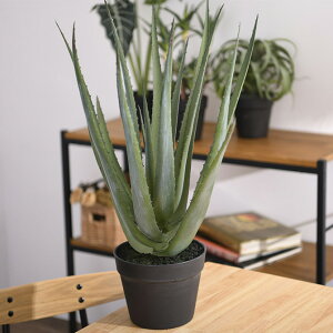 Brown. ブラウン アロエベラ ポット 57 【メッセージカード対応】 観葉植物 フェイクグリーン ボタニカル 造花 おしゃれ ポット インテリア ディスプレイ 癒し リラックス 人工観葉植物