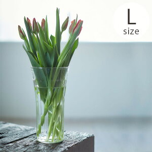 yX[p[Z[zyzzHorn Please z[ v[Y [YKX CYC t[x[X }X L ybsOΉz ybZ[WJ[hΉz t[x[X ԕr K