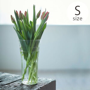 Horn Please z[ v[Y [YKX CYC t[x[X }X S ybsOΉz ybZ[WJ[hΉz t[x[X ԕr KX NA Vv k 