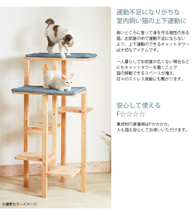 楽天市場】キャットタワー NATURAL SIGNATURE ナチュラルシグネチャー 