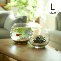 楽天市場】ガラスドーム金魚鉢の通販