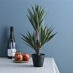 Brown. uE AKx TCU[i |bg 58 ybZ[WJ[hΉz ϗtA tFCNO[ {^jJ   |bg CeA fBXvC  bNX lHϗtA