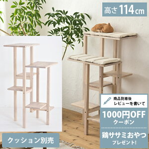 yr[Tz Lbg^[ NATURAL SIGNATURE i`VOl`[ Cut-hus LgnX Lbg^[ t[yNbVʔz zCgEHbV ybZ[WJ[hΉz 