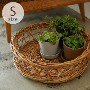 Horn Please �z�[�� �v���[�Y ARUROG �o�X�P�b�g �V�����E S �o�X�P�b�g ���� �~ �� ��^ �A�� �f�B�X�v���C �g���[ ���� ���r���O