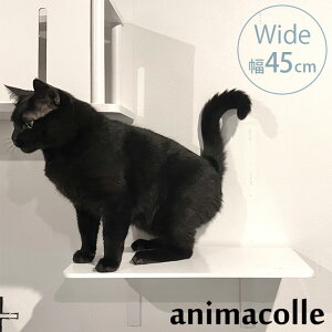 animacolle Aj}R Catroad+ ChXebv 45cm zCg ybsOΉz ybZ[WJ[hΉz L   LbgXebv LbgEH[N  DIY Ch Lbg^