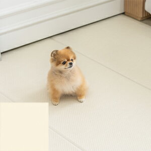 ybg}bg h dfang fBp ybgphNbV}bg 100×60cm ybZ[WJ[hΉz p Lp }bg ybg}bg h ɋ R ڐG⊴ zbgJ[ybg