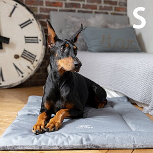 TALL TAILS g[ eCY N[g xbh S ybZ[WJ[hΉz p ybg xbh hbOxbh ybgxbh I[V[Y t H~ o[Vu  @OK