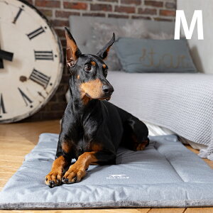 TALL TAILS g[ eCY N[g xbh M ybZ[WJ[hΉz p ybg xbh hbOxbh ybgxbh I[V[Y t H~ o[Vu  @OK