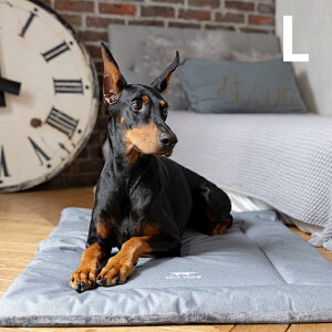 TALL TAILS g[ eCY N[g xbh L ybZ[WJ[hΉz p ybg xbh hbOxbh ybgxbh I[V[Y t H~ o[Vu  @OK