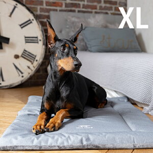 TALL TAILS g[ eCY N[g xbh XL ybZ[WJ[hΉz p ybg xbh hbOxbh ybgxbh I[V[Y t H~ o[Vu  @OK