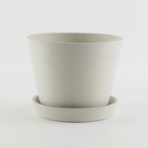 shesay VZC GRfނłłt[|bg M ybZ[WJ[hΉz |bg Aؔ  5 GR O   TXeiu SDGs