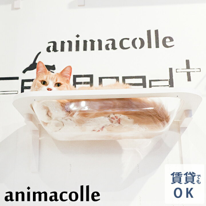 楽天市場】animacolle アニマコレ Catroad+ キャットバス 【ラッピング 