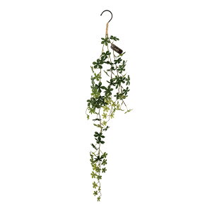 LA[eBtBVO[ OXbO ybsOΉz ybZ[WJ[hΉz tFCNO[ L R  ybg nMO ݂邷 CTG} lHϗtA A[