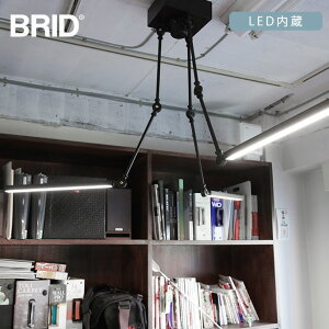 _ybgōőP5^ BRID ubh GENERAL X^h[J[ LEDCg 3A[^ F LEDCg Ɩ A[^ F  ItBX Lb` CeA C_XgA Ce