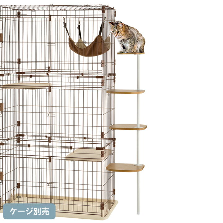 楽天市場】Richell リッチェル キャットサークル用てっぺんステップ 4 