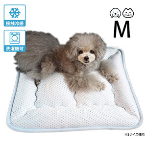 appy AbsB ybg N[ EHbVu}bg M ybZ[WJ[hΉz ybg Ђ }bg  L ڐG⊴ { 􂦂  bV