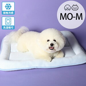 appy AbsB ybg N[ 2wEHbVu}bg MO-M ybZ[WJ[hΉz ybg Ђ }bg  L ڐG⊴ { 􂦂  @