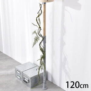 V_XoC ybZ[WJ[hΉz ϗtA  tFCNO[ CeAO[ {^jJ A[eBtBVt[ AWg Ǌ|@݂艺 ǖ O[