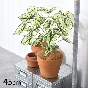 JW[ ubV ybZ[WJ[hΉz ϗtA  tFCNO[ CeAO[ {^jJ A[eBtBVt[ AWg Ǌ|@݂艺 ǖ O