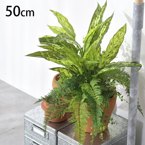 fBtFoLA ~bNX ubV ybZ[WJ[hΉz ϗtA  tFCNO[ CeAO[ {^jJ A[eBtBVt[ AWg Ǌ|@