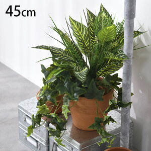 ACr[ ~bNX ubV ybZ[WJ[hΉz ϗtA  tFCNO[ CeAO[ {^jJ A[eBtBVt[ AWg Ǌ|@݂艺 