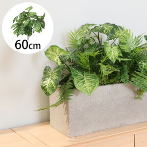 VSjE ubV ybZ[WJ[hΉz ϗtA  tFCNO[ CeAO[ {^jJ A[eBtBVt[ AWg Ǌ|@݂艺 ǖ O