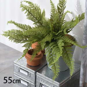 U[t@[ ubV ybZ[WJ[hΉz ϗtA  tFCNO[ CeAO[ {^jJ A[eBtBVt[ AWg Ǌ|@݂艺 ǖ 