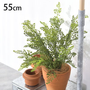 AWA^ ubV ybZ[WJ[hΉz ϗtA  tFCNO[ CeAO[ {^jJ A[eBtBVt[ AWg Ǌ|@݂艺 ǖ O