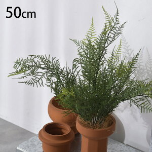 AXpKX ubV ybZ[WJ[hΉz ϗtA  tFCNO[ CeAO[ {^jJ A[eBtBVt[ AWg Ǌ|@݂艺 ǖ O