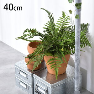 ~bNXt@[ ubV ybZ[WJ[hΉz ϗtA  tFCNO[ CeAO[ {^jJ A[eBtBVt[ AWg Ǌ|@݂艺 