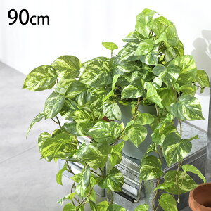 |gX nMOubV ybZ[WJ[hΉz ϗtA  tFCNO[ CeAO[ {^jJ A[eBtBVt[ AWg Ǌ|@݂艺 