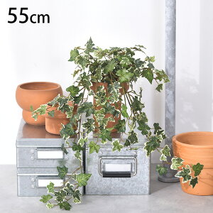 ACr[S[f nMOubV ybZ[WJ[hΉz ϗtA  tFCNO[ CeAO[ {^jJ A[eBtBVt[ AWg Ǌ|@