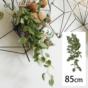 sAOEJ nMOubV ybZ[WJ[hΉz ϗtA  tFCNO[ CeAO[ {^jJ A[eBtBVt[ AWg Ǌ|@݂