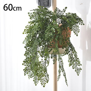 AWA^ nMOubV ybZ[WJ[hΉz ϗtA  tFCNO[ CeAO[ {^jJ A[eBtBVt[ AWg Ǌ|@݂艺